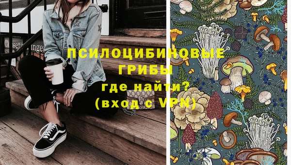 индика Вязьма