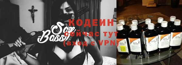 индика Вязьма