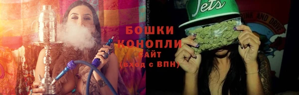 индика Вязьма