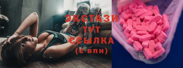 индика Вязьма