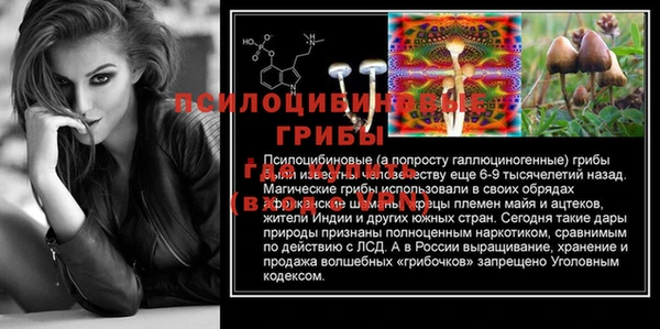 индика Вязьма