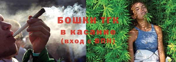 индика Вязьма
