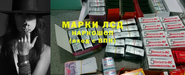 индика Вязьма