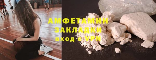 индика Вязьма
